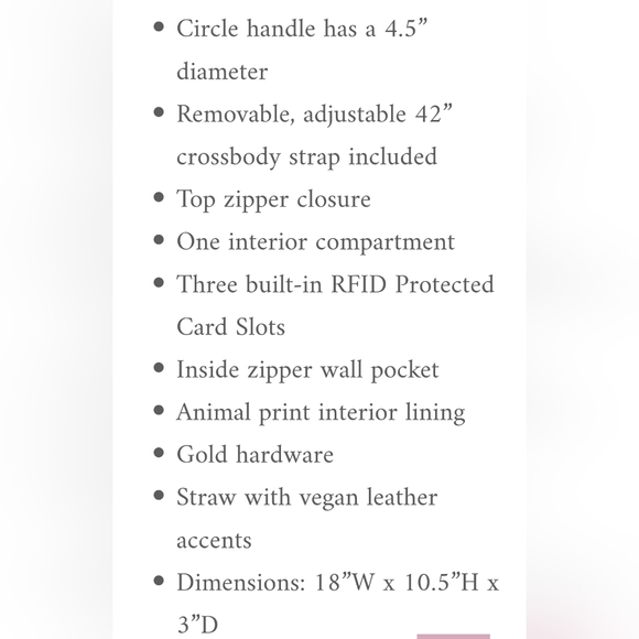 K. Carroll Bag NWOT (new without the tags) - Picture 6 of 10